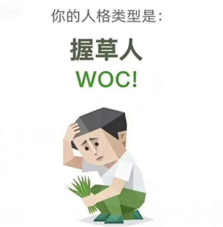 WOC SBTI image generator type The Whoa Person