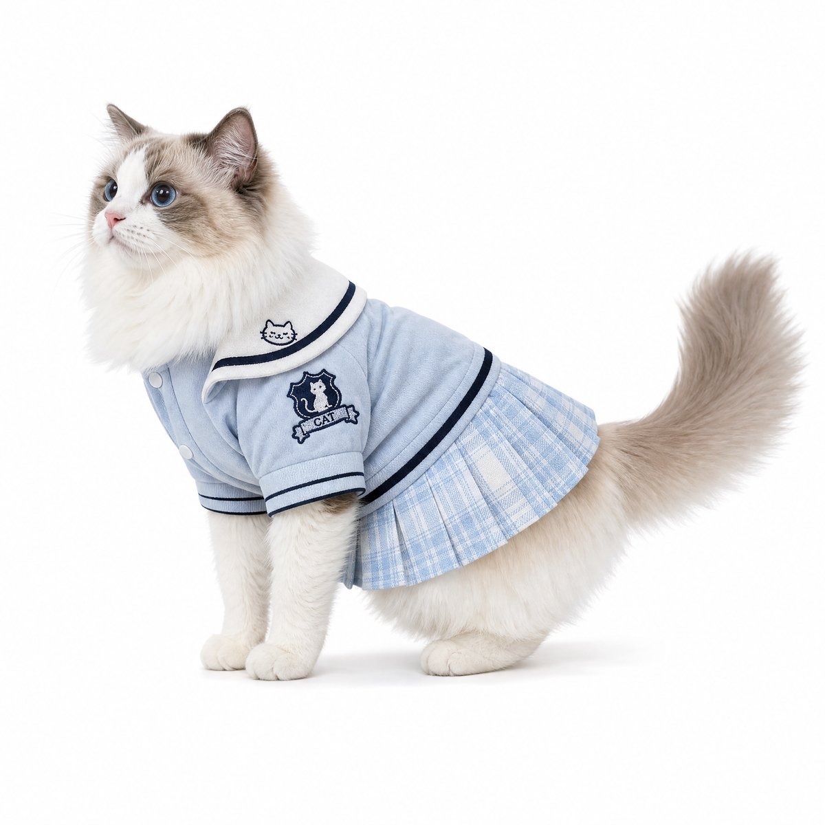 KI-generierte Ragdoll-Katze steht auf weißem Hintergrund und trägt ein blaues Matrosenkleid; Seitenansicht mit sichtbarem Faltenrock.