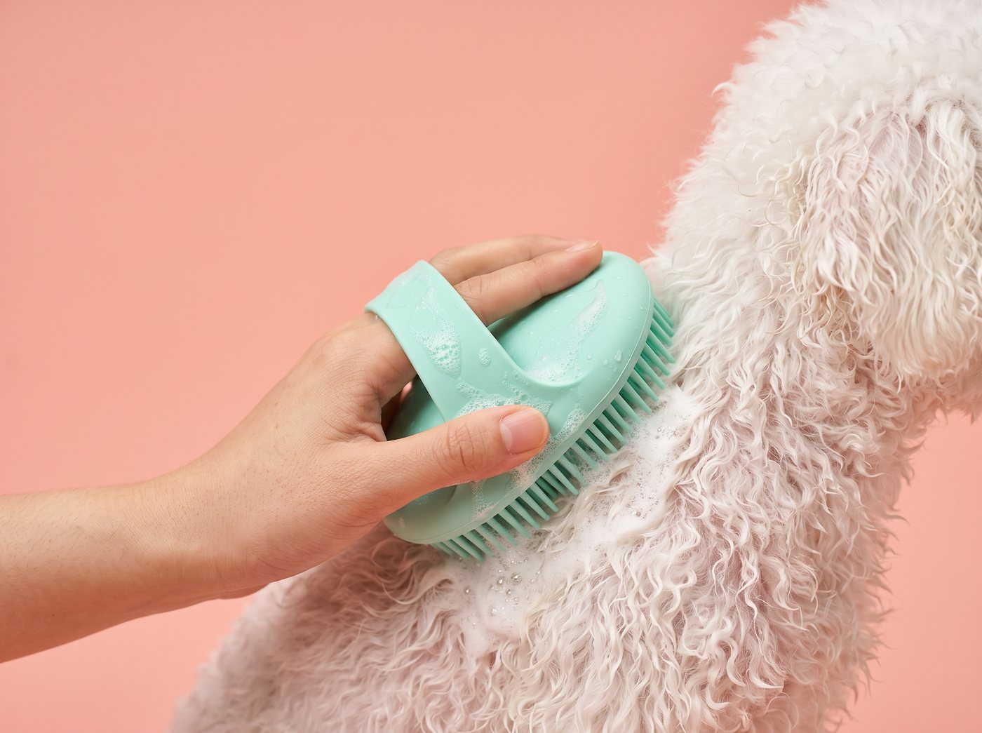 A mint bath brush touching a white dog's shoulder against a peach backdrop