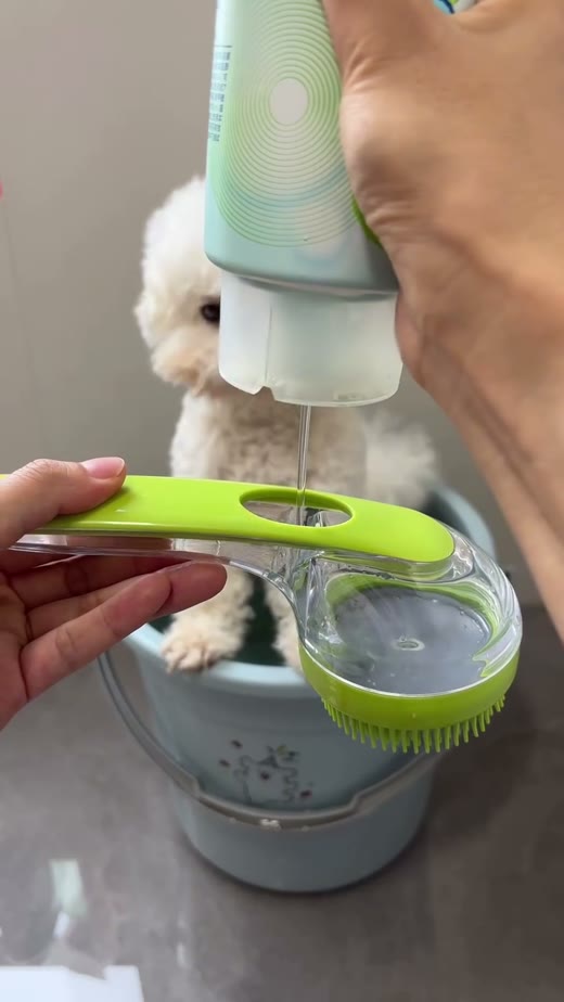 @petsgoodis original video 00:04.6: adding wash liquid to the brush
