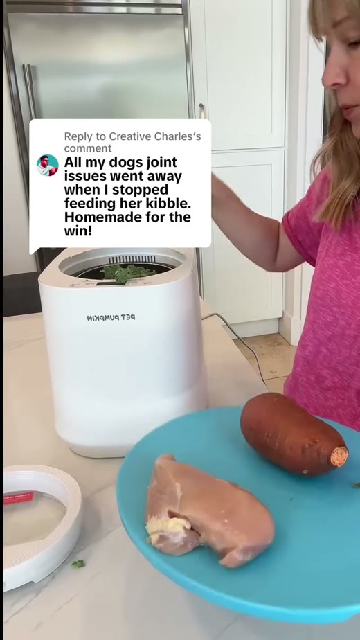 @petpumpkinstore original video 00:01.5: ingredients and machine together