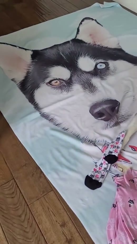 @petsies original video 00:02.4: portrait detail on a blanket