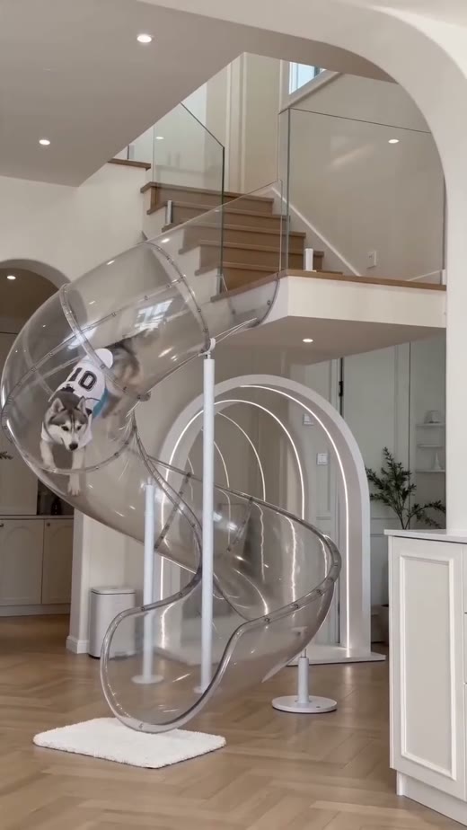 @thejaypaw original video 00:02.3: moving through the clear slide