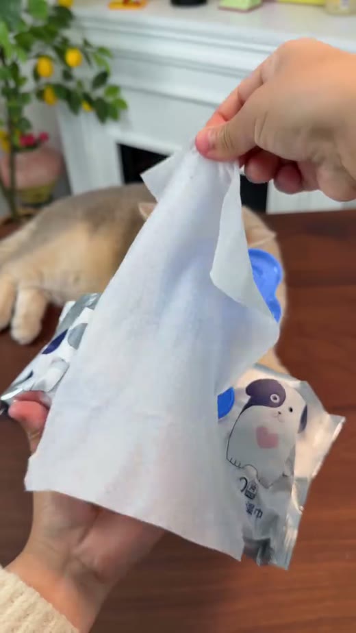 @glampaw_pets original video 00:05.1: unfolding the cleaning product